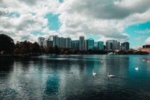 1992 - Ace purchased Mills Movers of Washington State, a mover that had been incorporated since 1955. With the expansion outside of California came the name change to Ace Relocation Systems, Inc.
